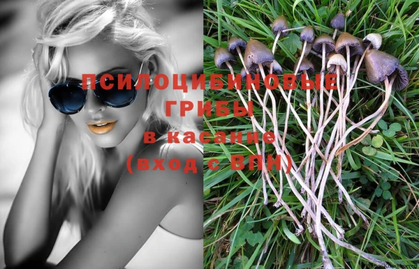 ПСИЛОЦИБИНОВЫЕ ГРИБЫ Абаза