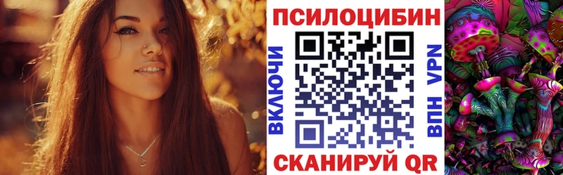 Галлюциногенные грибы Cubensis  кракен как зайти  Моршанск 